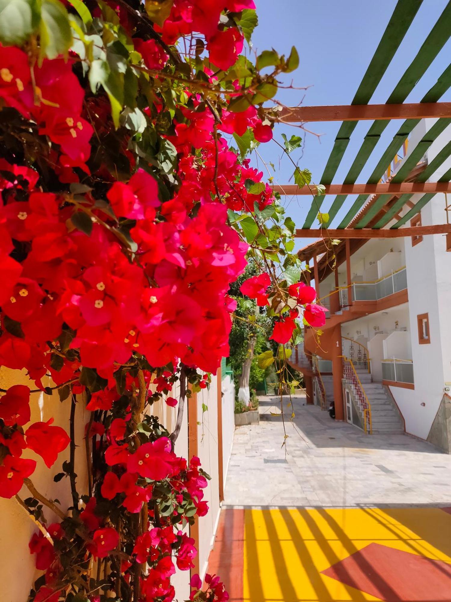 Evli Apartment Rethymno  Exterior photo